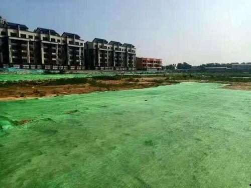 山东滨州最新爆料,揭秘背后惊人真相 第3张 山东滨州最新爆料,揭秘背后惊人真相 第3张